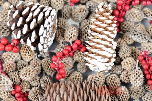 Bild von Spicy Exotics, org. India L8x 8x H24cm,