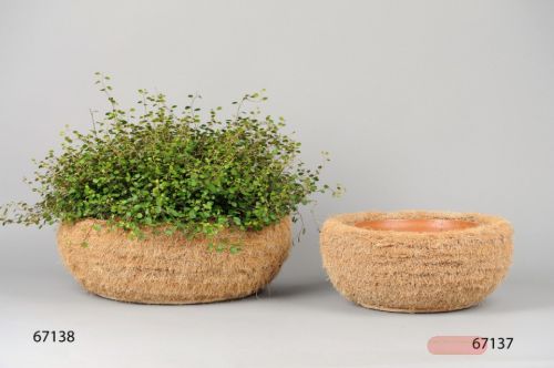 Bild von Korb, Cocus mit Tontopf - Ø36 x H15.5cm, natur