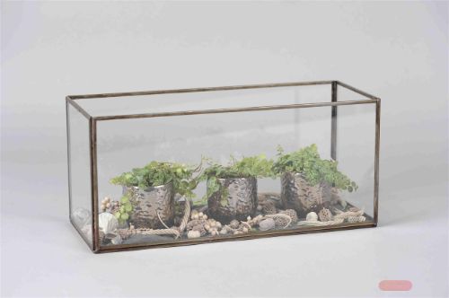 Bild von Vitrine, Glas L40x 16x H18cm, burn antik