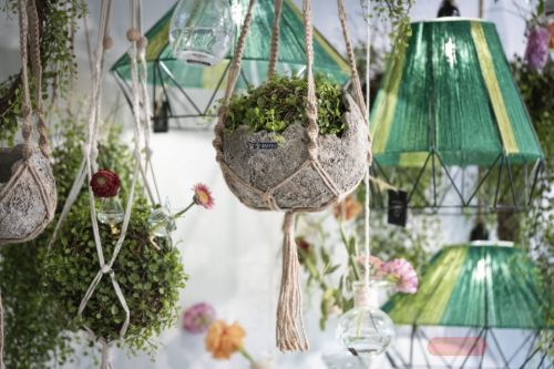 Bild von Makramee, Pflanzenhalter 120cm, naturel