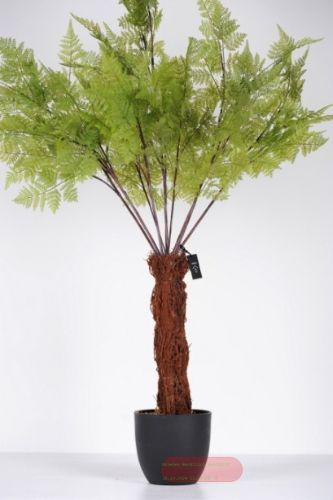 Bild von Zierpflanze, Green Fern H130cm, grün