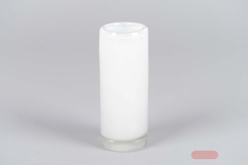 Bild von Glasvase, Opaline Ø6x H16cm, weiss