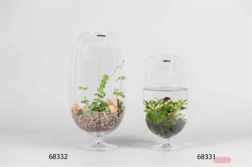 Bild von Glasvase auf Fuß, U-Form Oblong Ø25x H50cm, klar