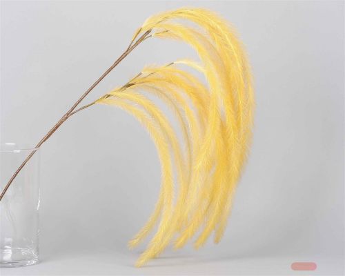 Bild von Feder, Belle Plume L100~155cm, jaune