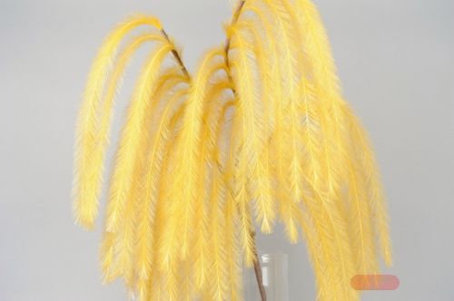 Bild von Feder, Belle Plume L125~185cm, jaune