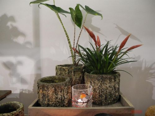 Bild von Blumentopf,  Mossa Zement Ø16.5 x H13cm, natur