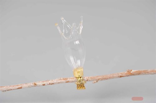 Bild von Glasvase, miniClip - Set/3 - Ø4x H7cm, klar