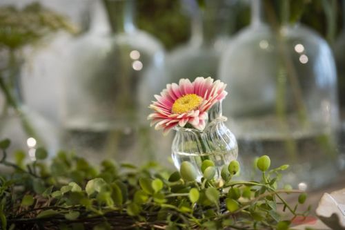 Bild von Glasvase, miniClip - Set/3 - Ø4x H7cm, klar