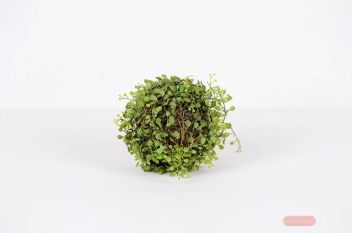 Bild von Kugelstrauch, Bubikopf - Ø18cm, grün