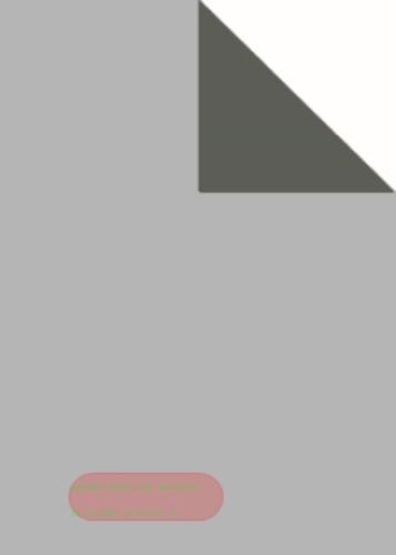 Bild von Bogen 70x 100cm, Uni Duo, argent/silber*