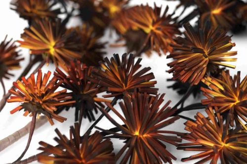 Bild von Deko Zweig, Branche L~110cm, porto