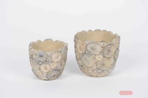 Bild von Blumentopf, Fungi gills Ø11.5x H10.5cm, zement