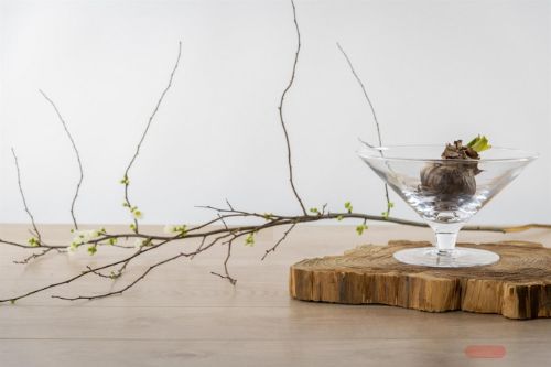 Bild von Glasschale, Lejka Ø27.5x H16.5cm, klar