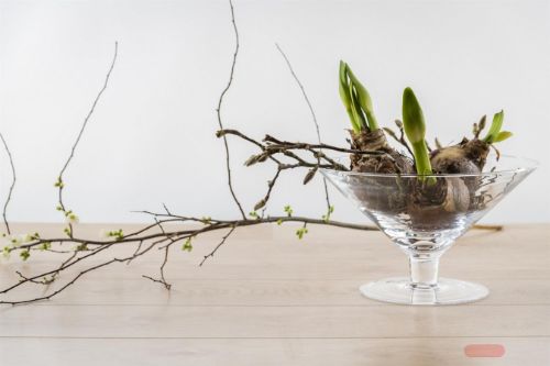 Bild von Glasschale, Lejka Ø33.5x H19.5cm, klar