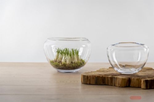 Bild von Glasschale, Ritzy Ø30x H20cm, klar