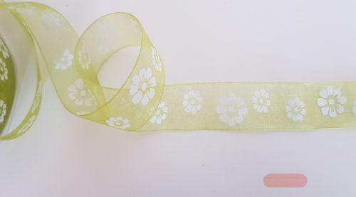 Bild von Band 20m/ 25mm, Flowers auf Organza, grün