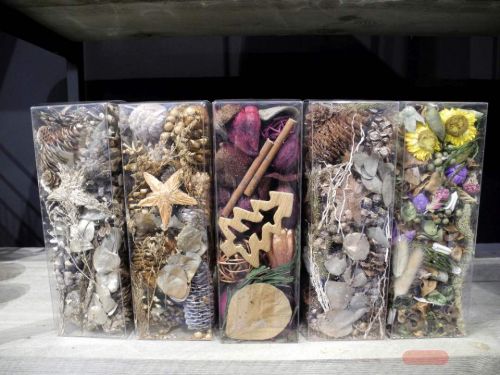 Bild von Exotic, Dekoration L8x 8x H24cm, burgundy (Tanne)