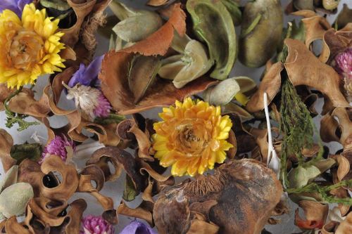 Bild von Exotic, Dekoration L8x 8x H24cm,  lavender & green