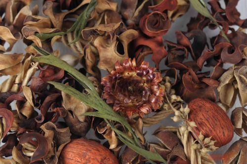 Bild von Exotic, Dekoration L8x 8x H24cm, burned orange