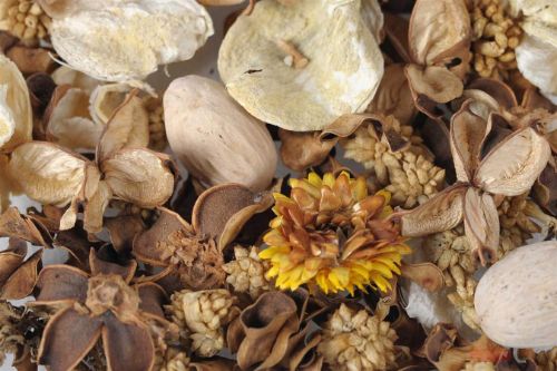 Bild von Exotic, Dekoration L8x 8x H24cm, natural & yellow