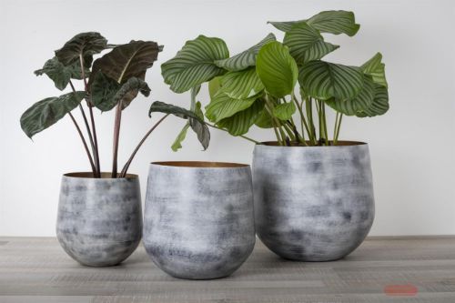 Bild von Pflanzer, Alu Brindle - Set/3 - 28 bis 41cm, black