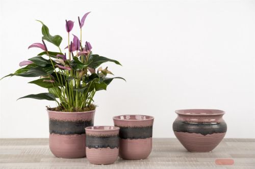 Bild von Blumentopf, Flash Ø15.5x H15cm, purple