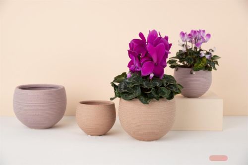 Bild von Blumentopf, Dawn Ø12.5x H10cm, peach