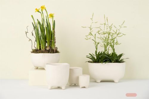 Bild von Blumentopf, Witteling Ø10x H11.8cm, weiss