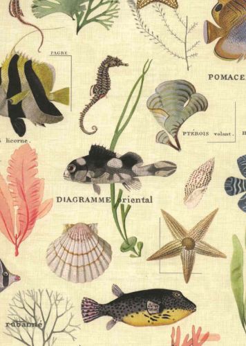 Bild von Rolle 200m x  50cm, Sansibar-Meerestiere, créme