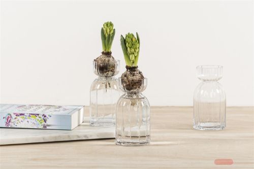 Bild von Glasvase, Dressy Ø8x H15.5cm, klar