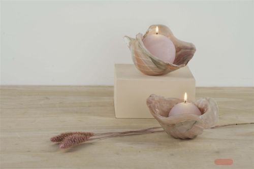 Bild von GlasMuschel, Cloud L19x 18.5x H11cm, coral