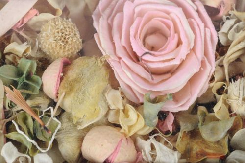 Bild von Deco, Fresh Exotics L12x 6x H20cm, pink