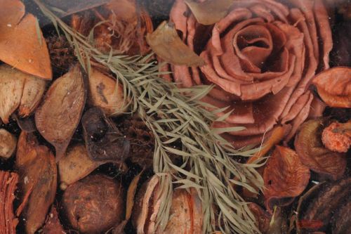 Bild von Deco, Fresh Exotics L12x 6x H20cm, orange