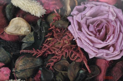 Bild von Deco, Fresh Exotics L12x 6x H20cm, orchid pink