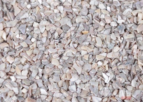 Bild von Muschelgrit, 550gr, orchid pink