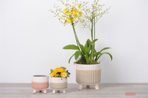 Bild von Blumentopf, Tri-tone Ø10.5x H11cm, green