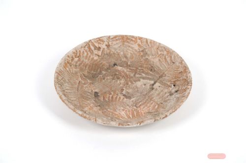 Bild von BlumenSchale, Samambaia Zement Ø27x 4cm, natur