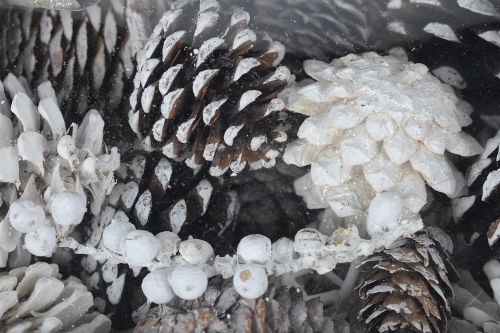 Bild von Festive Exotic, L12x 6x H20cm, weiss