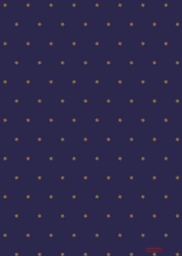 Bild von Bogen 70x 100cm, Gotland Sterne, nachtblau