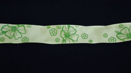 Bild von Band 20m/ 25mm, Hibiskus, grün