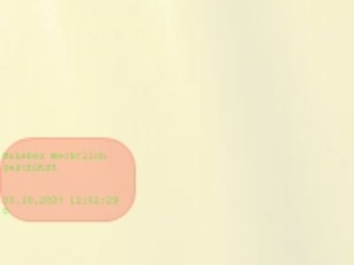 Bild von Blumenseide, 70cm x 350m - brillant, champagner