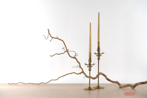 Bild von Kerzenhalter, Caribou - Alu Ø11x H35.5cm, old gold