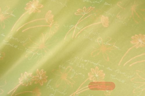 Bild von Blm-Papier,  75cm - Swinging Flowers, lindgrün