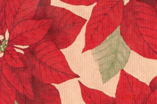 Bild von Blm-Papier,  50cm - Poinsettia, rot-grün