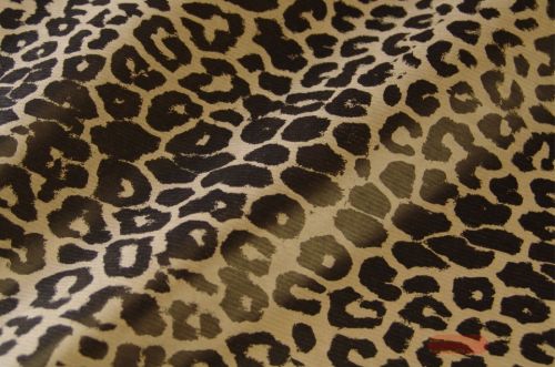 Bild von Blm-Papier,  50cm - Leo, schwarz-braun