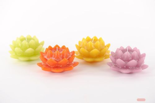 Bild von Schwimmkerze, Seerose H8x Ø13cm, grün