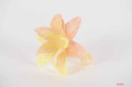 Bild von Blume Amaryllis - Glas - L14x H10cm, peach/yellow
