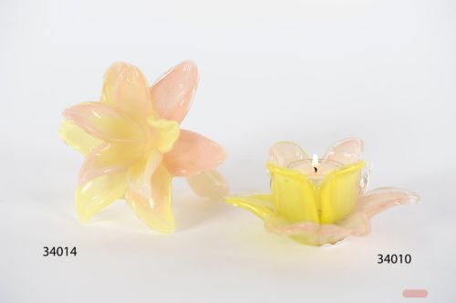 Bild von Teelichthalter, Amaryllis - Ø14x H7cm, peach/yellow