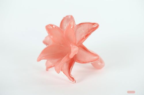 Bild von Blume Amaryllis - Glas - L14x H10cm, red pink
