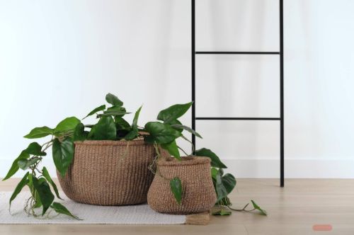 Bild von Blumentopf, Rustic root Ø25x H19cm, zement